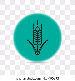 Line icon- wheat 
