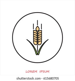 Line icon- wheat 