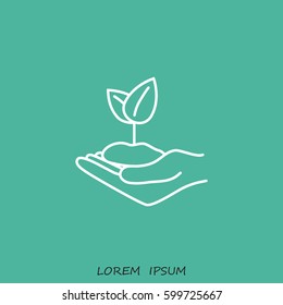Line icon-hand sprout