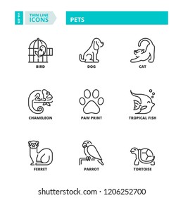 Pet Emblems Collection Cat Dog Icons Stock Vector (Royalty Free) 204025243