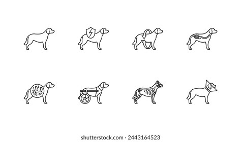 Line icons Dog Veterinary related  - dog, recovery collar, skeleton, bones, wheelchair, stomach, intestine. Canine health icon set. Vet clinic, pet emergency concept. Linear illustrations, editable st