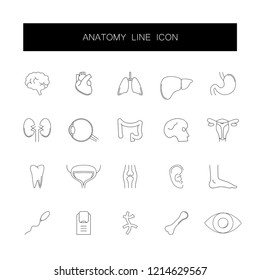 Line icons set. Anatomy pack. Vector illustration