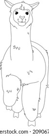 line illustration alpaca on a white background