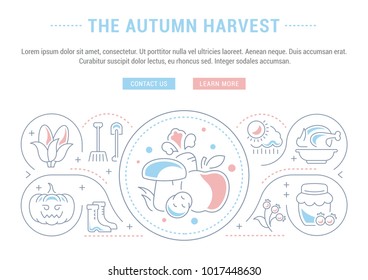 Line illustration of the autumn harvest. Concept for web banners and printed materials. Template with buttons for website banner and landing page.
