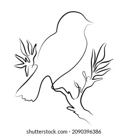 line illustration of a bird on a tree branch