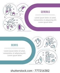 Line illustration of cereals and beans. Concept for web banners and printed materials. Template for website banner and landing page.