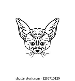 Line illustration of a cute little fenech fox with big ears, tattoo design. Antistress art. Good for t-shirt design, bag, phone case, room poster and postcard