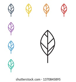 Line illustration of eight color styles Leaf Vector Icon. Ecology concept