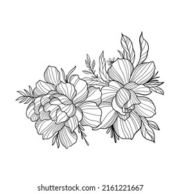 line illustration flora flowers leaves roses