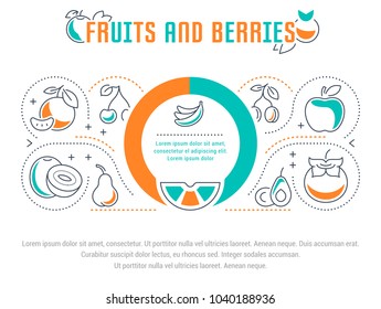 Line illustration of fruits and berries. Concept for web banners and printed materials. Template for website banner and landing page.