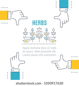 Line illustration of herbs. Concept for web banners and printed materials. Template for website banner and landing page.