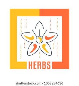 Line illustration of herbs. Concept for web banners and printed materials. Template for website banner and landing page.