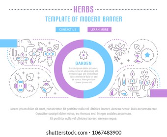 Line illustration of herbs. Concept for web banners and printed materials. Template with buttons for website banner and landing page.