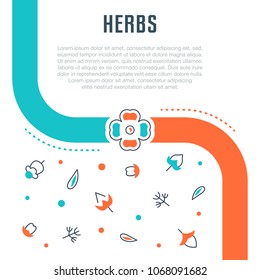 Line illustration of herbs. Concept for web banners and printed materials. Template for website banner and landing page.