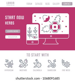 Line illustration of herbs. Concept for web banners and printed materials. Template with buttons for website banner and landing page.