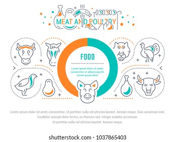 Line illustration of meat and poultry. Concept for web banners and printed materials. Template for website banner and landing page.