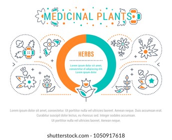Line illustration of medicinal plants. Concept for web banners and printed materials. Template for website banner and landing page.