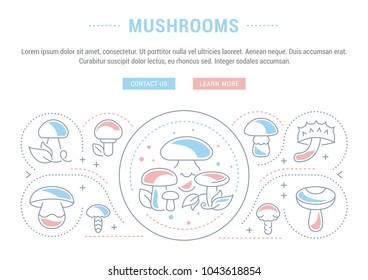 Line illustration of mushrooms. Concept for web banners and printed materials. Template with buttons for website banner and landing page.