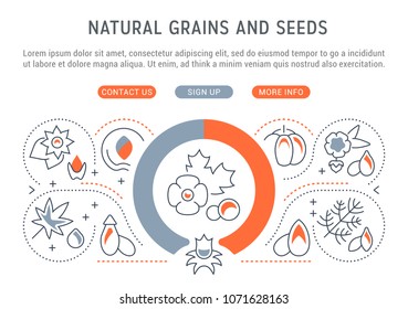 Line illustration of natural grains and seeds. Concept for web banners and printed materials. Template with buttons for website banner and landing page.
