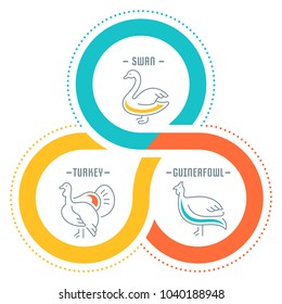 Line illustration of poultry. Concept for web banners and printed materials. Template for website banner and landing page.