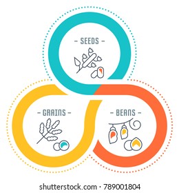 Line illustration of seeds, grains and beans. Concept for web banners and printed materials. Template for website banner and landing page.