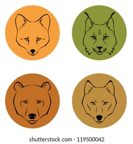 line illustration showing different facial features of wild forest animals - fox, lynx, bear and wolf. Suitable for zoo or wildlife conservation logo or emblem. Vector eps file.