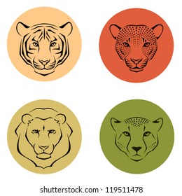 line illustration showing different facial features of wild animals - tiger, leopard, lion and cheetah. Suitable for zoo or wildlife conservation logo or emblem. Vector eps file.