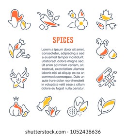 Line illustration of spices. Concept for web banners and printed materials. Template for website banner and landing page.