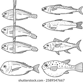 a line illustration of various fish