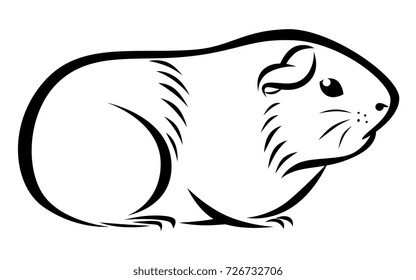 Line ink guinea pig