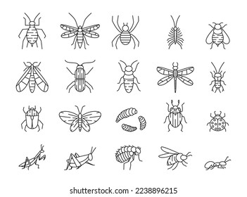 Line insects. Bug icons. Beetle and caterpillar. Outline pest symbols. Cricket and mosquito. Little animal. Winged butterfly and dragonfly. Plant bee. Vector stroke garish pictograms set