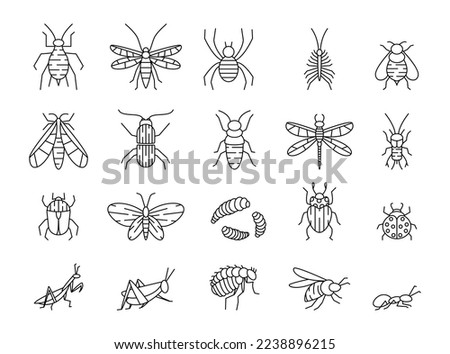 Line insects. Bug icons. Beetle and caterpillar. Outline pest symbols. Cricket and mosquito. Little animal. Winged butterfly and dragonfly. Plant bee. Vector stroke garish pictograms set