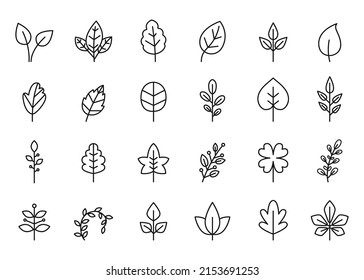 Icono de hojas de línea. Hojas veganas, crecimiento de plantas ecológicas y conjunto de símbolos vectoriales orgánicos frescos. Follaje natural aislado de diferentes árboles como arce, abedul y roble. Elementos herbales mínimos delineados