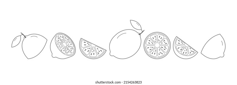 Line lemon set  Sketch sliced lime collection  Hand  drawn slices  whole   half linear fruits  Lemonade elements  Vector isolated white 