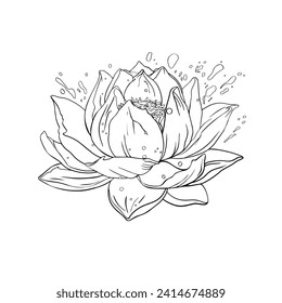 Line Lotus flower, magic shining lily flower on a white background. Illustration water flowers. Print magic lotus