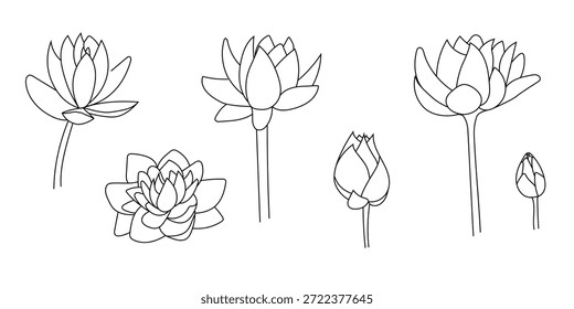 Linie Lotus Vektor flach, Skizzenblume, Doodle Wasserlilie einzeln