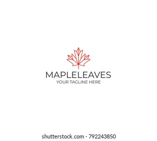 Line maple leaf logo template. Geometric autumn leaf vector design. Plant illustration