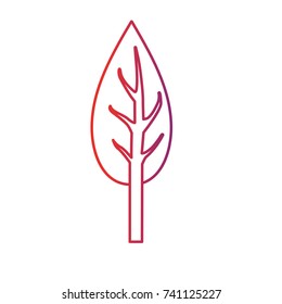 line natual and ecological tree with branches plant