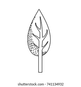 line natual and ecological tree with branches plant