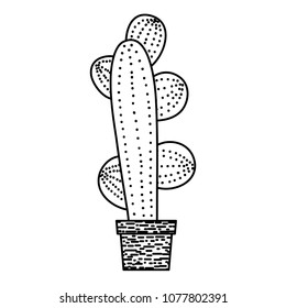 line natura cactus desert plant inside flowerpot
