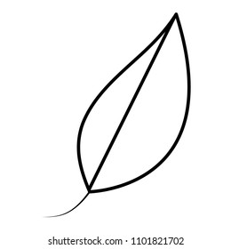 line natural exotic leaf botanic plant