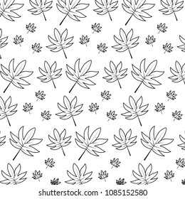 line natural leaf tropical style background