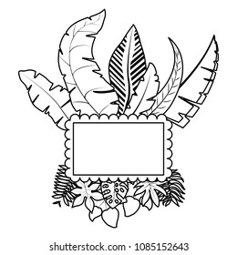 line natural leaves plant with emblem decoration