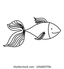 line nature fish animal in the sea water
