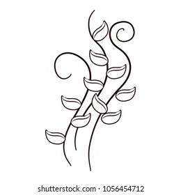 line nature leaves branches plant decoration