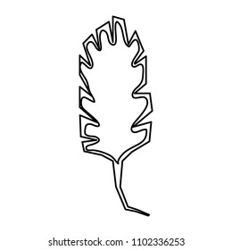 line nature spring leaf tropical style