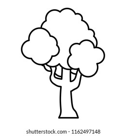 line nature tree stalk branches leaves