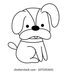 line nice dog cute pet animal