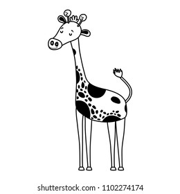line nice giraffe wild animal creature