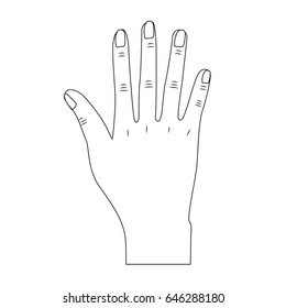 line nice hand with all fingers and nails